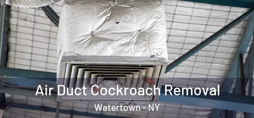 Air Duct Cockroach Removal Watertown - NY