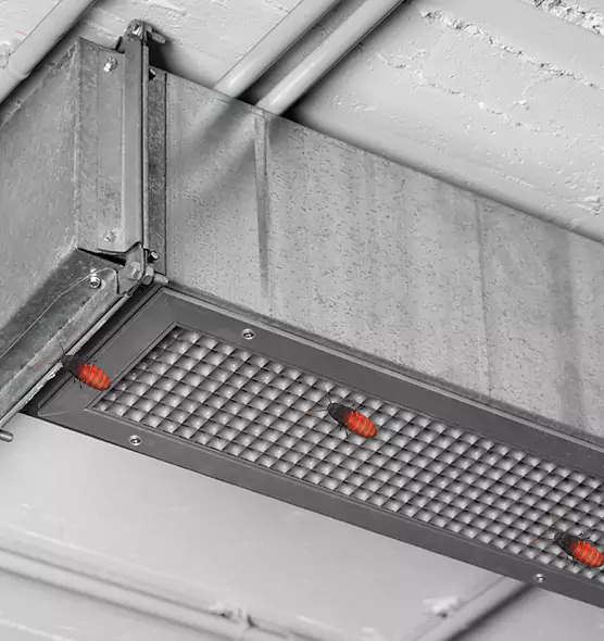 About Air Duct Cockroach Removal in Watertown, NY