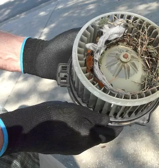 About Air Duct Rat Removal in Watertown, NY