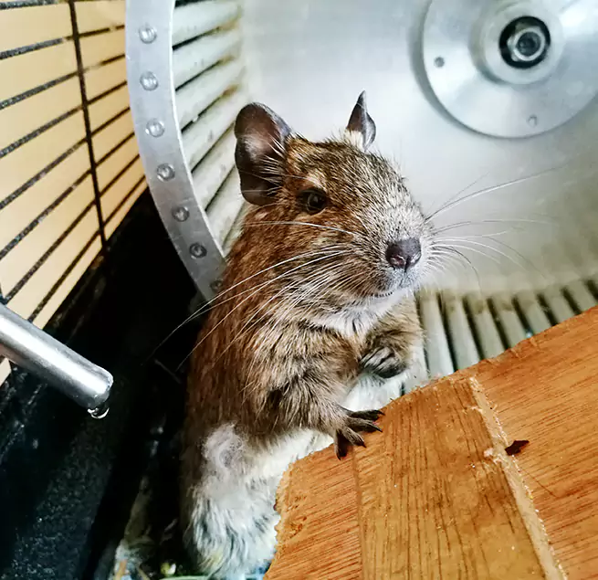 Why Homeowners & Businesses Trust Us Watertown, NY